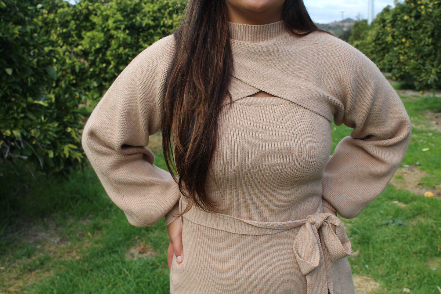 Pearl Dress (Mocha)