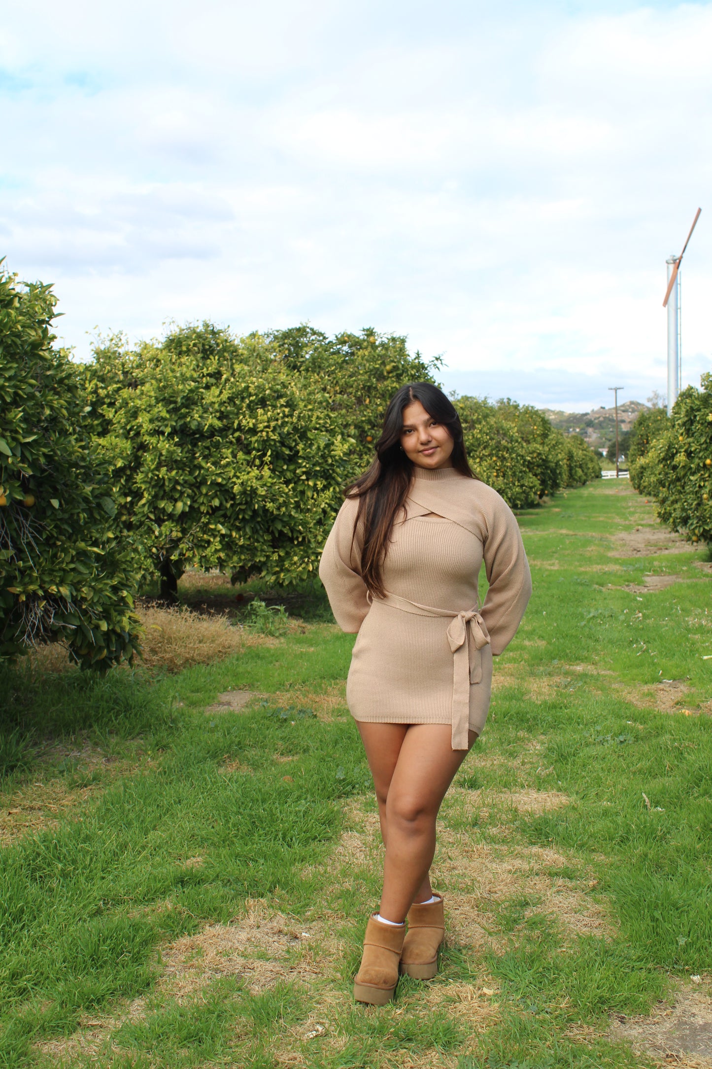 Pearl Dress (Mocha)